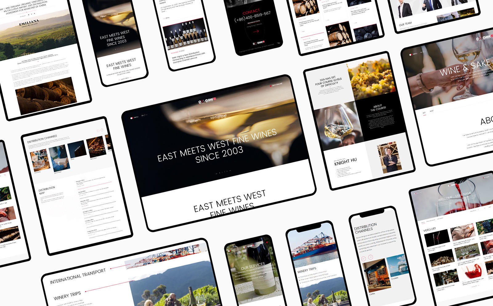 零基础搭建网站：免费与付费选择的详细对比